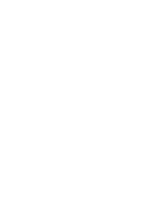 Brandheroes mascot design