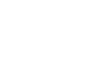 zenlike_logo_design_salg_negative
